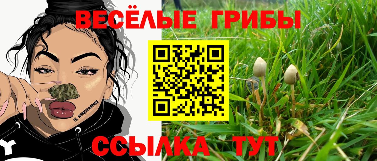 Дзержинск  Псилоцибиновые грибы ЛСД  Вход с VPN  Галлюциногенные грибы мицелий 